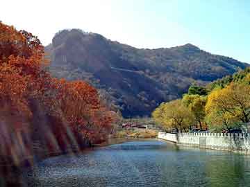 新澳天天开奖资料大全旅游团，环氧大豆油价格